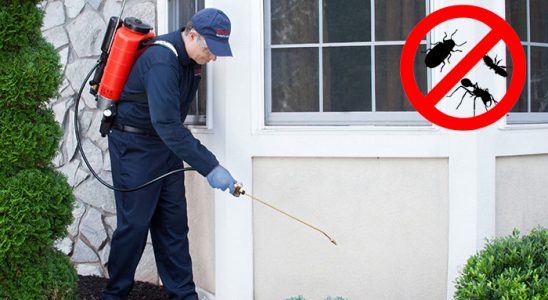 Çiçekdağı Haşere İlaçlama böcek ilaçlama ve haşere kontrolü — ilaclama-tr.com